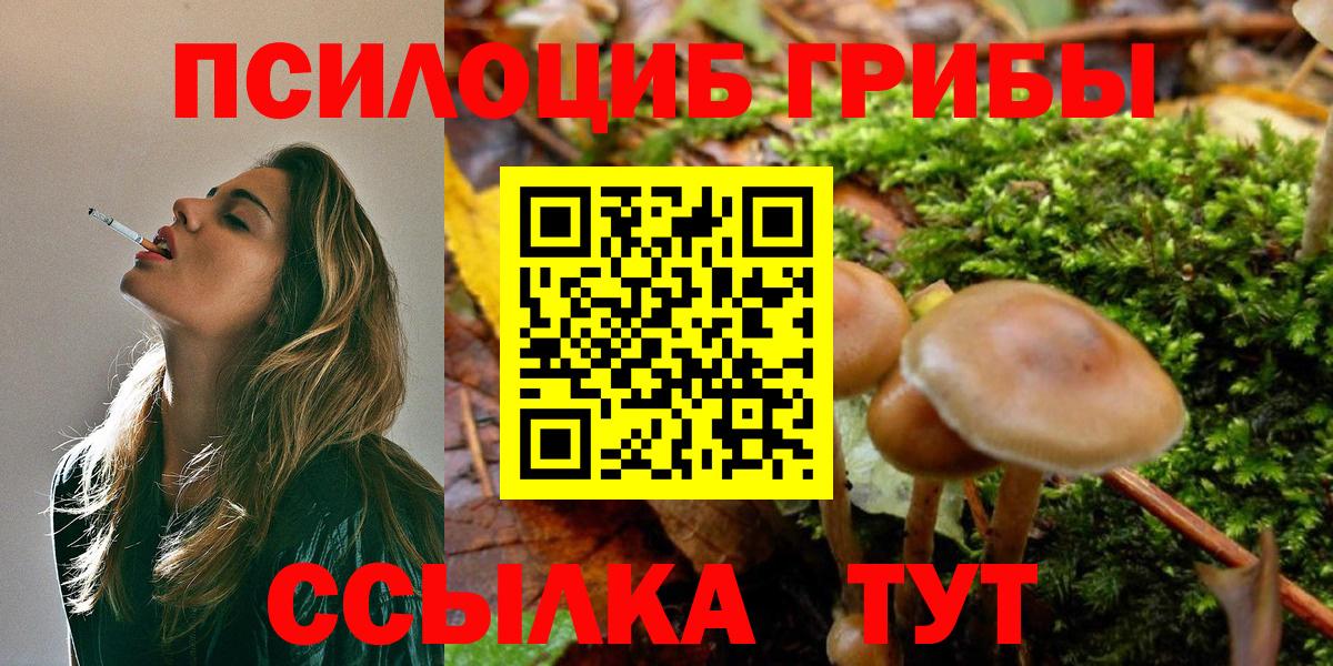 Галлюциногенные грибы мицелий  Галлюциногенные грибы Psilocybe  наркошоп  Вход с VPN  Новоалександровск 