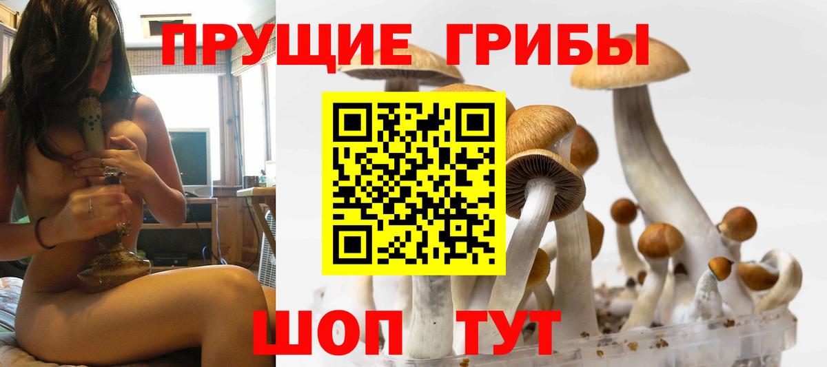 ГАШ Новоалександровск