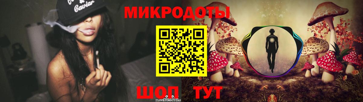 Псилоцибиновые грибы Psilocybe Новоалександровск