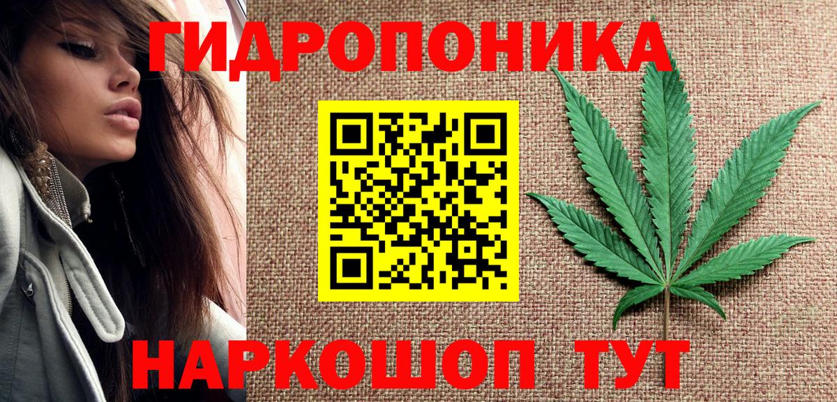 Марихуана  Новоалександровск  МЕТАДОН  Cocaine  Меф   A PVP СОЛЬ кристаллы  Вход с VPN  ГАШ  Купить наркоту  Канабис 